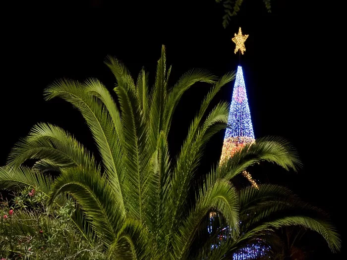 Xmas Funchal, Madeira 