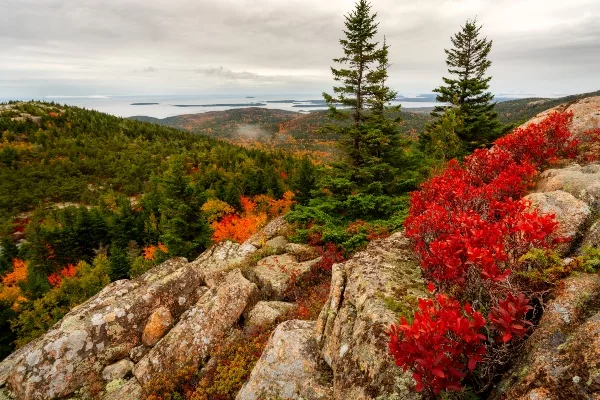 The autumnal colours of Acadia National Park attracts thousands of visitors each year