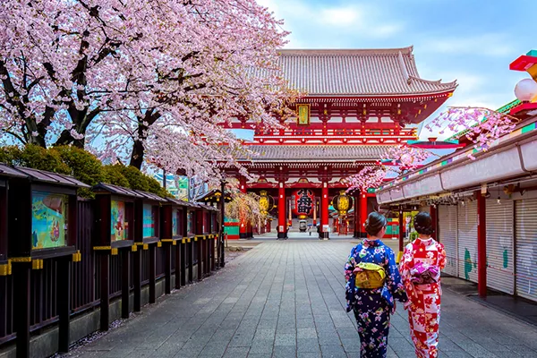 Top Autumn Luxury Cruise Destinations - Tokyo in Japan with blossom trees 