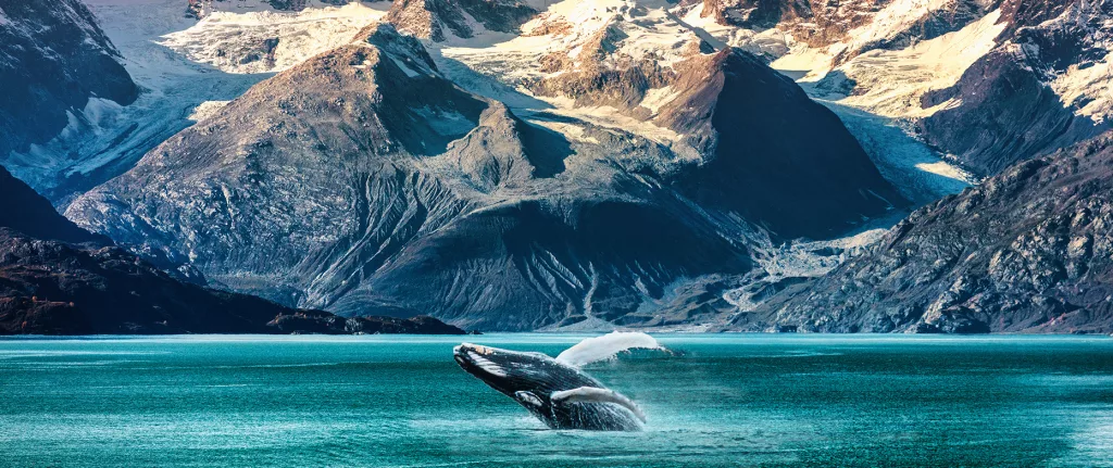 5 Reasons Why You Should Cruise to Alaska